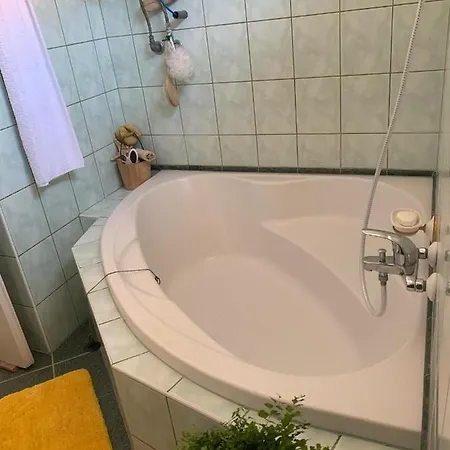 Kata Tolna