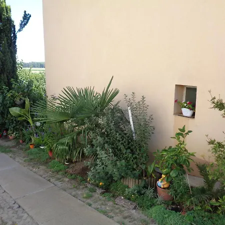 Kata * Tolna